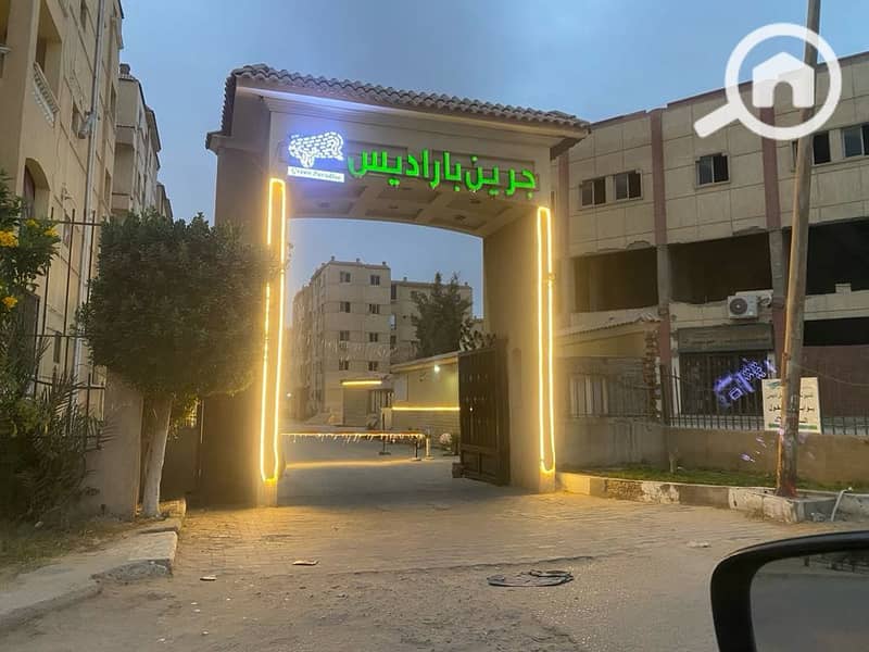 8 جرين4. jpeg