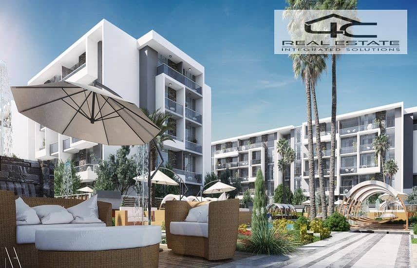 12 patio oro 13. jpg