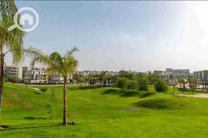 10 IMG_٢٠٢٥٠٩١٦_١٧٣٢٠٦. jpg