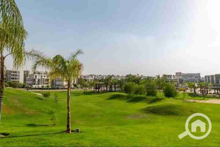 11 IMG_٢٠٢٥٠٩١٦_١٧٣٧٤٣. jpg