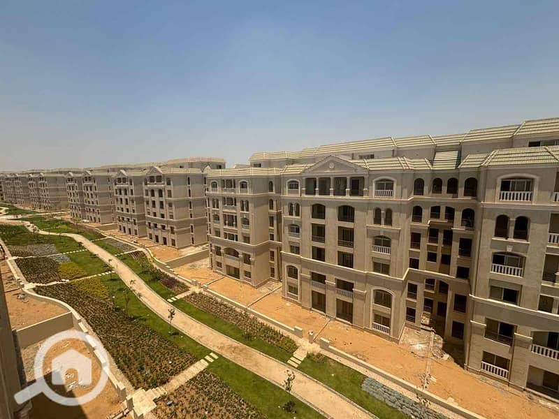 6 21e1d01e-67e5-487f-975b-85355fc09192. jpg