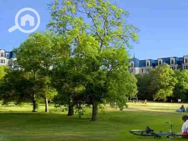9 1000001364. webp