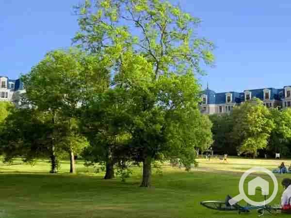 9 1000001364. webp