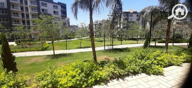 2 Bedroom Apartment for Rent in Madinaty, Cairo - 0b13f094-834a-4ef9-b338-536401b31516. jpeg