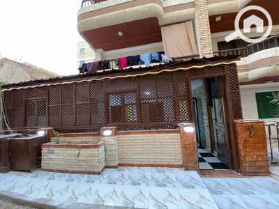 فلیٹ 2 غرفة نوم للبيع في النخيل، الإسكندرية - 1000371260. jpg