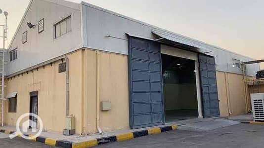 Factory for Rent in Amreya, Alexandria - IMG_1774. jpg