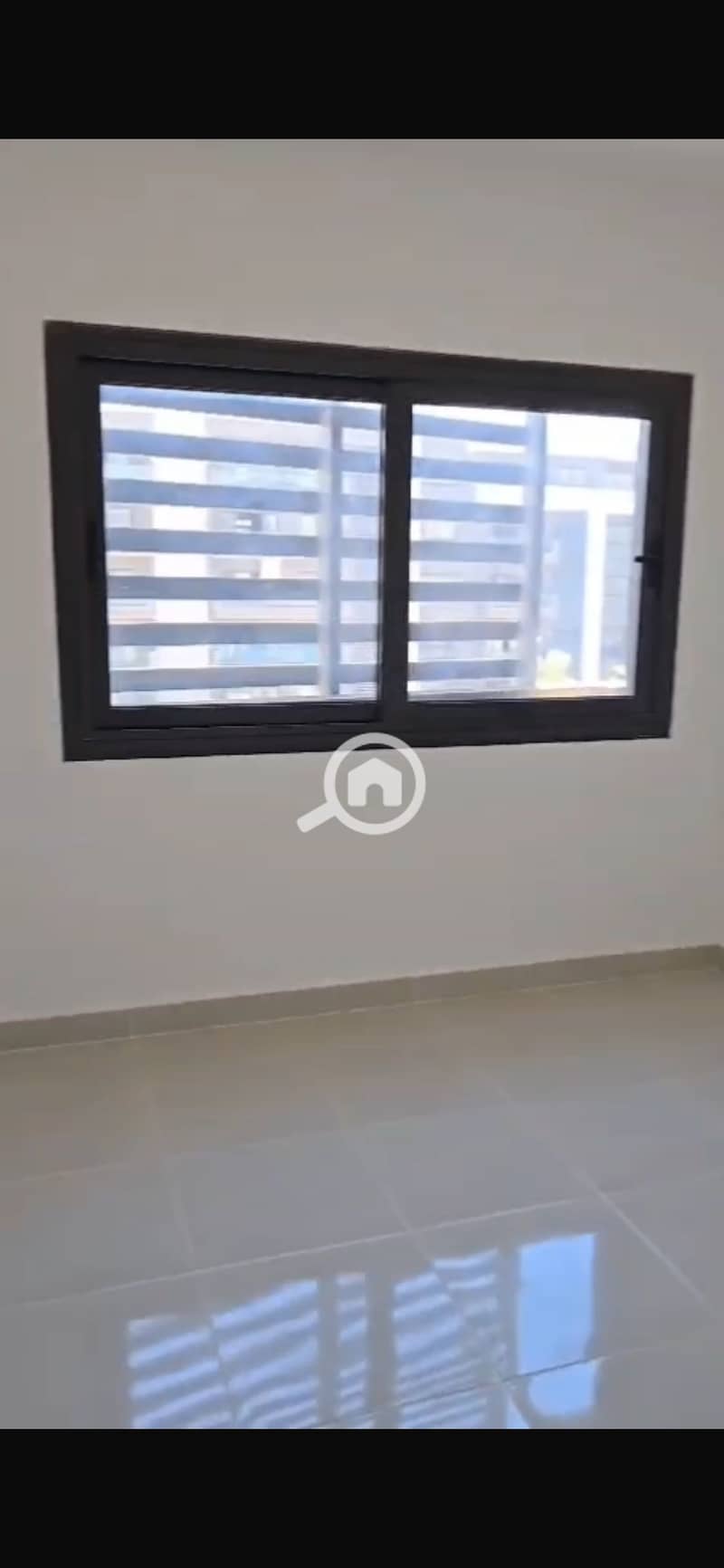 5 IMG_4038. png