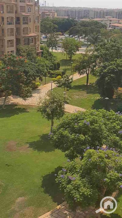 3 Bedroom Apartment for Rent in Madinaty, Cairo - 1000227034. jpg