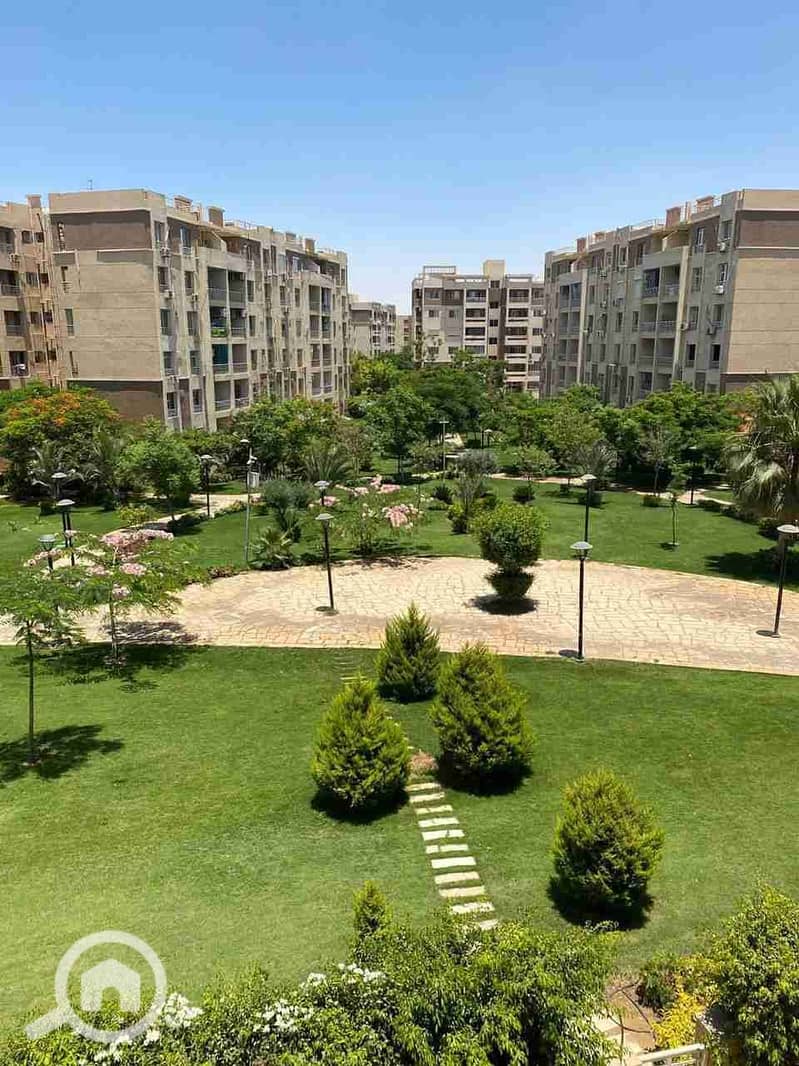 9 1000558555. jpg