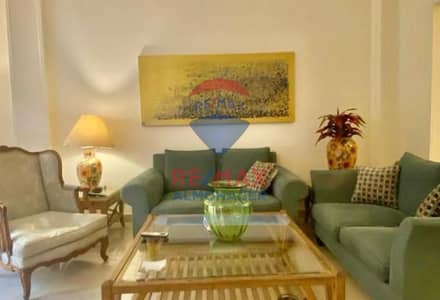 2 Bedroom Apartment for Rent in Zamalek, Cairo - 1b154717-8a08-4200-a049-363da352f3b0. jpg