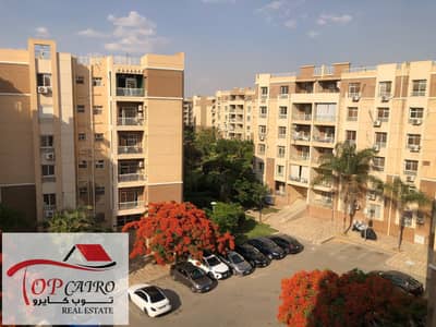 2 Bedroom Apartment for Rent in Madinaty, Cairo - صورة واتساب بتاريخ 1447-03-28 في 14.50. 15_e06f158d. jpg
