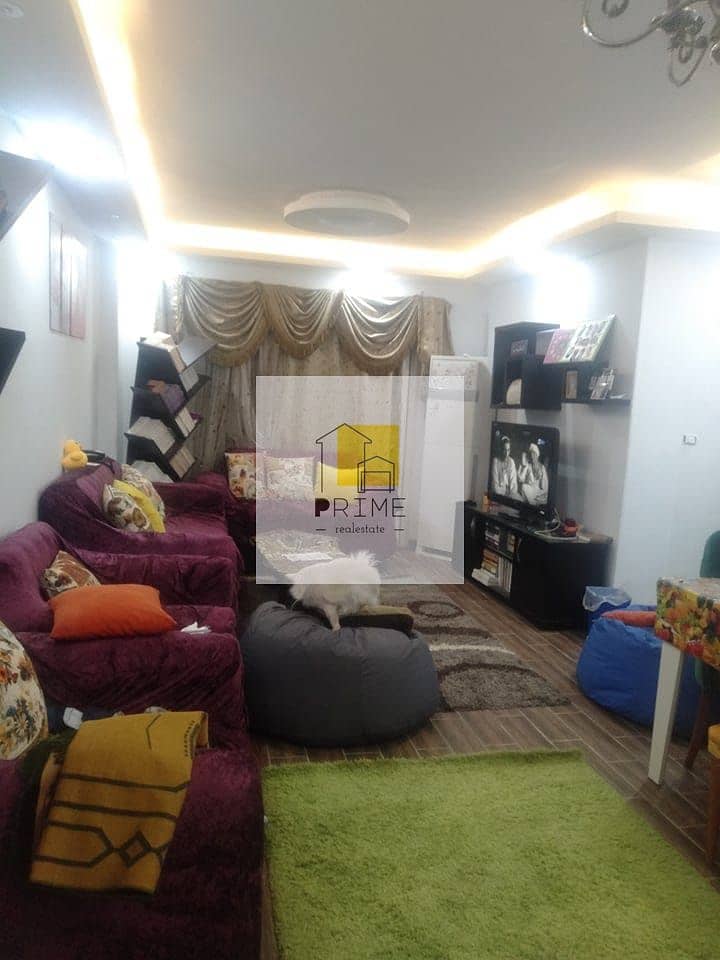 7 WhatsApp Image 2025-09-20 at 15.50. 19_eb272e1a. jpg