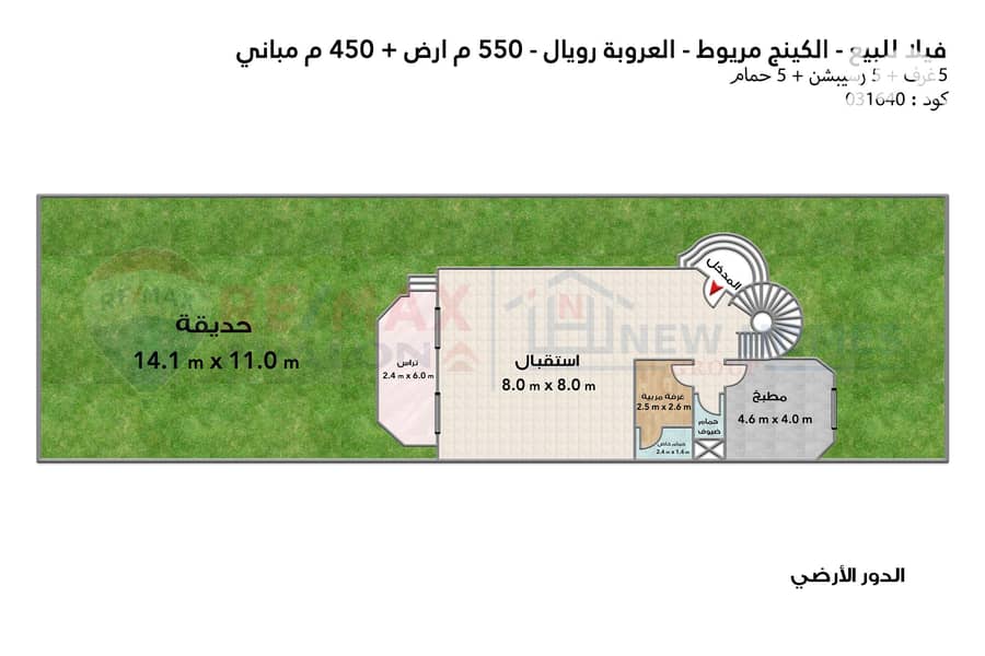 5 5. jpg