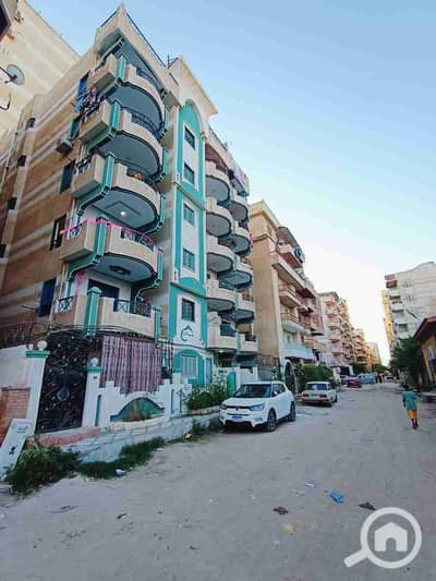 شقة 2 غرفة نوم للبيع في النخيل، الإسكندرية - 1000372375. jpg