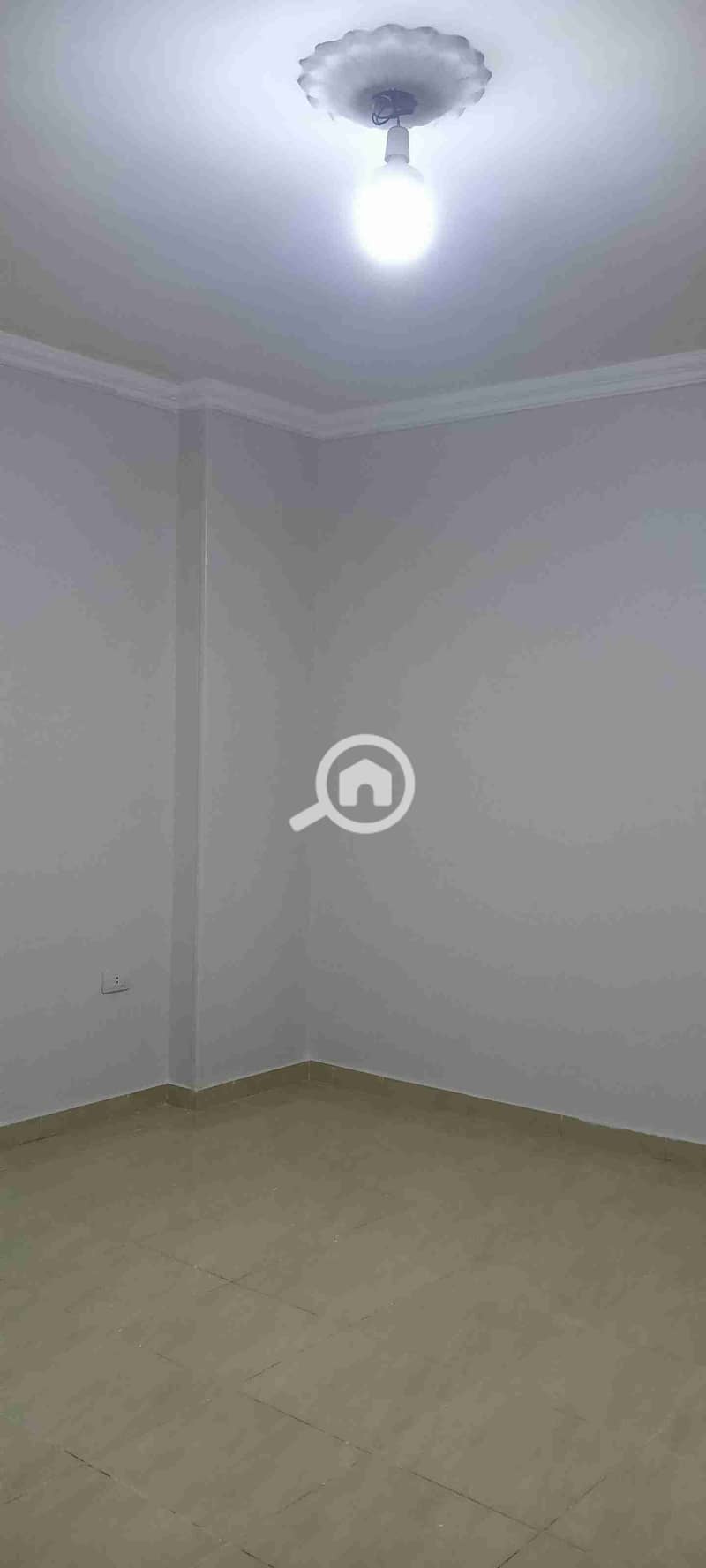 8 1000011534. jpg