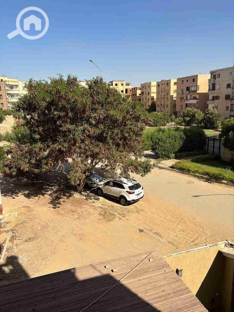 2 31072. jpg