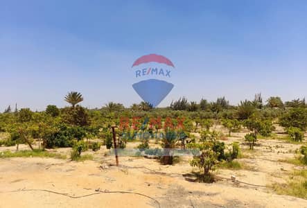 Commercial Land for Sale in 6th of October, Giza - 00d40e79-dda2-11ed-8a86-0281a528b874. jpg
