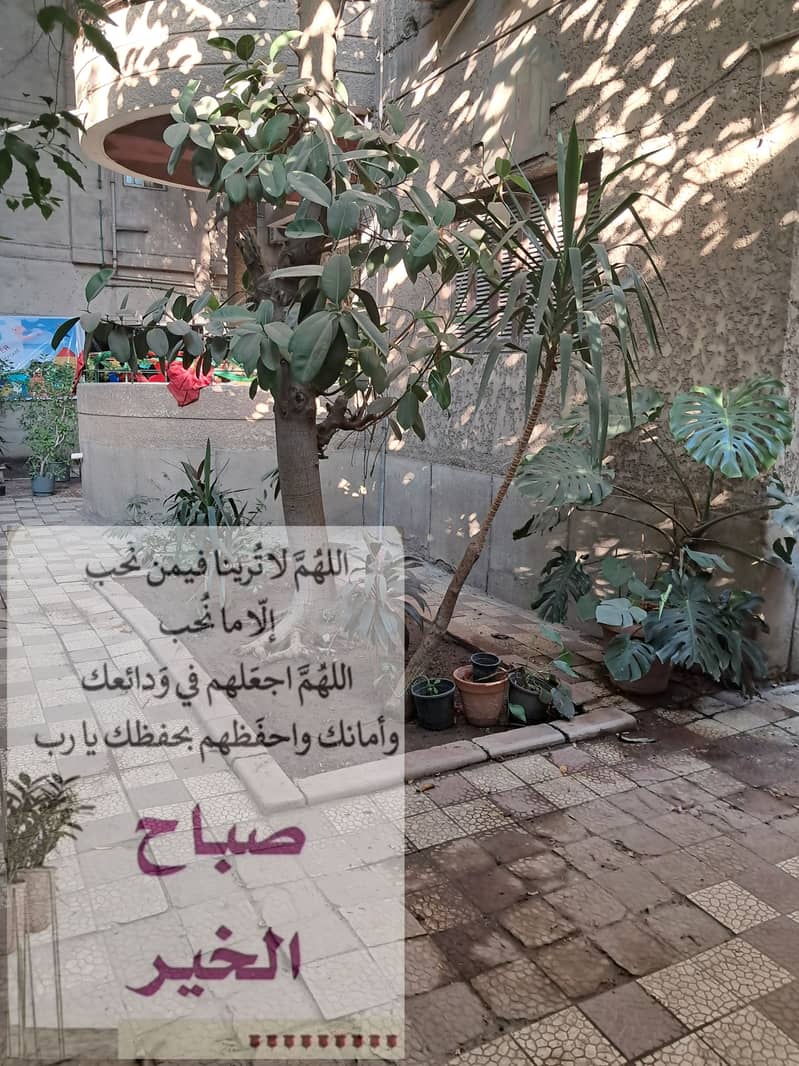3 ٢٠٢٥٠٧٠٢_١٨٠٩٥٤. jpg