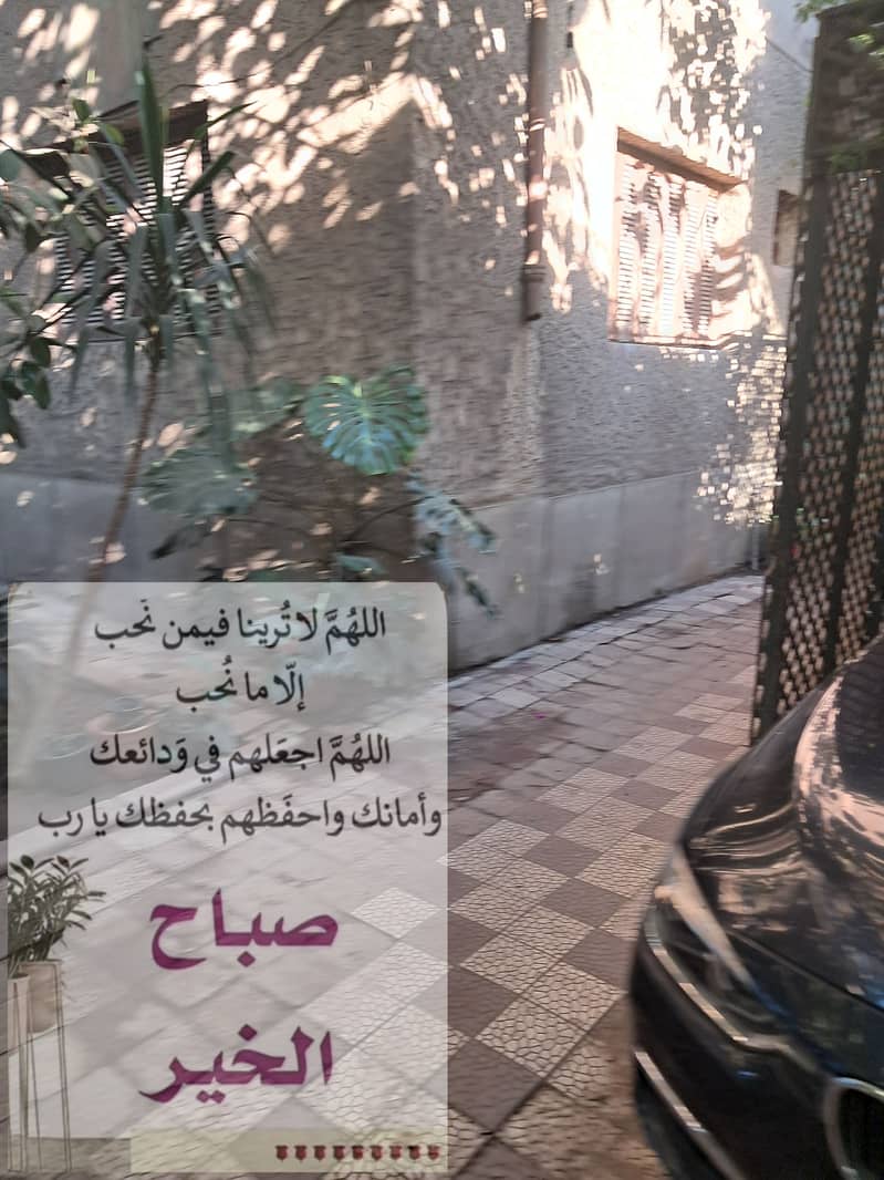 4 ٢٠٢٥٠٧٠٢_١٨١٠٠٣. jpg
