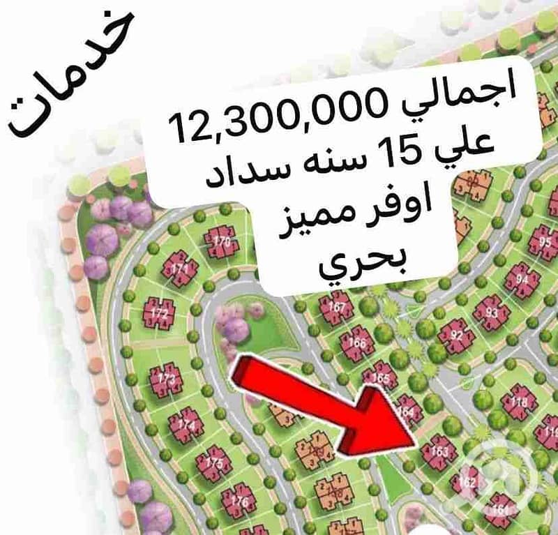 2 1000366986. jpg