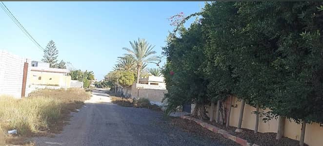 أرض سكنية  للبيع في برج العرب، الإسكندرية - طريق برج العرب من الساحل الشمالي (ملتقي الاصدقاء)