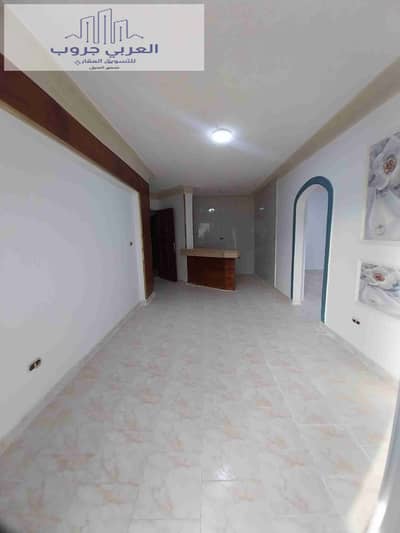 2 Bedroom Apartment for Sale in Nakheel, Alexandria - 1000246666. jpg
