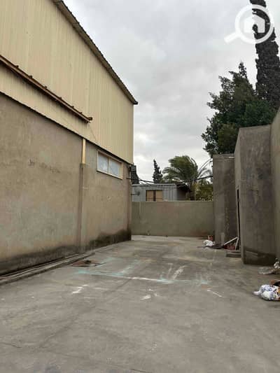 مستودع  للايجار في عجمي، الإسكندرية - IMG_1929. jpg