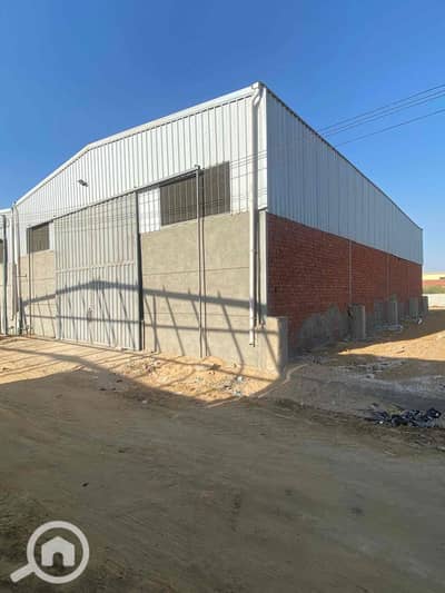 مصنع  للايجار في العامرية، الإسكندرية - IMG_4279. jpg