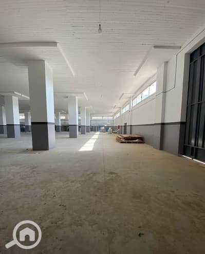 مصنع  للايجار في العاشر من رمضان، الشرقية - 5c9cdc9c-3023-42e8-84ce-72ee2a523888 (1). jpeg