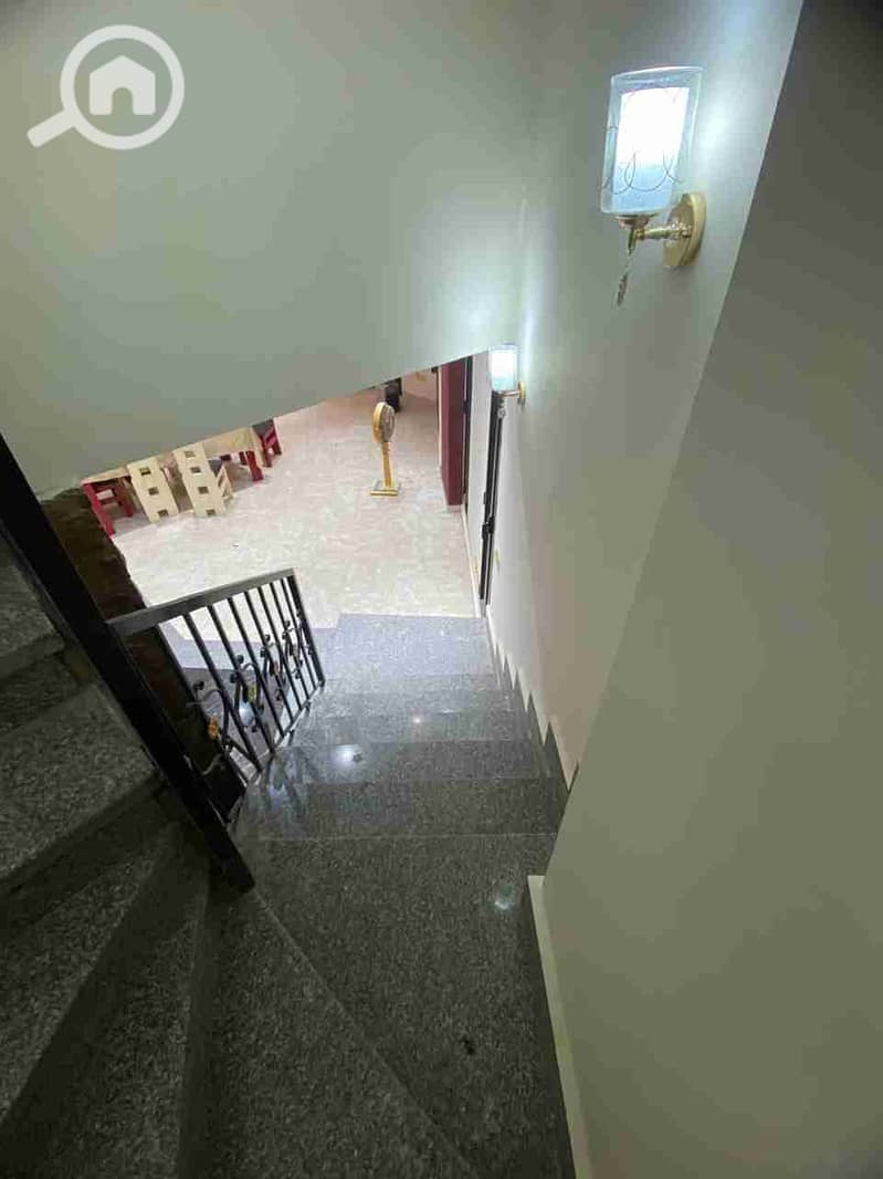 6 1000949448. jpg