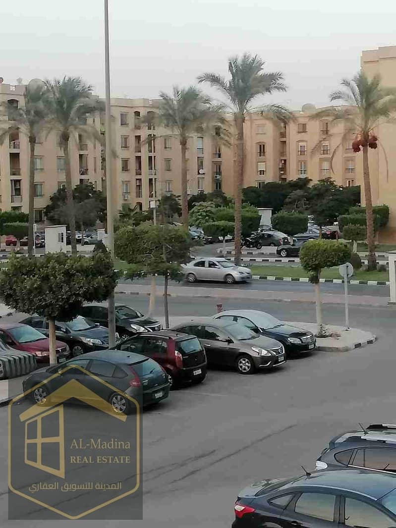 4 7433. jpg