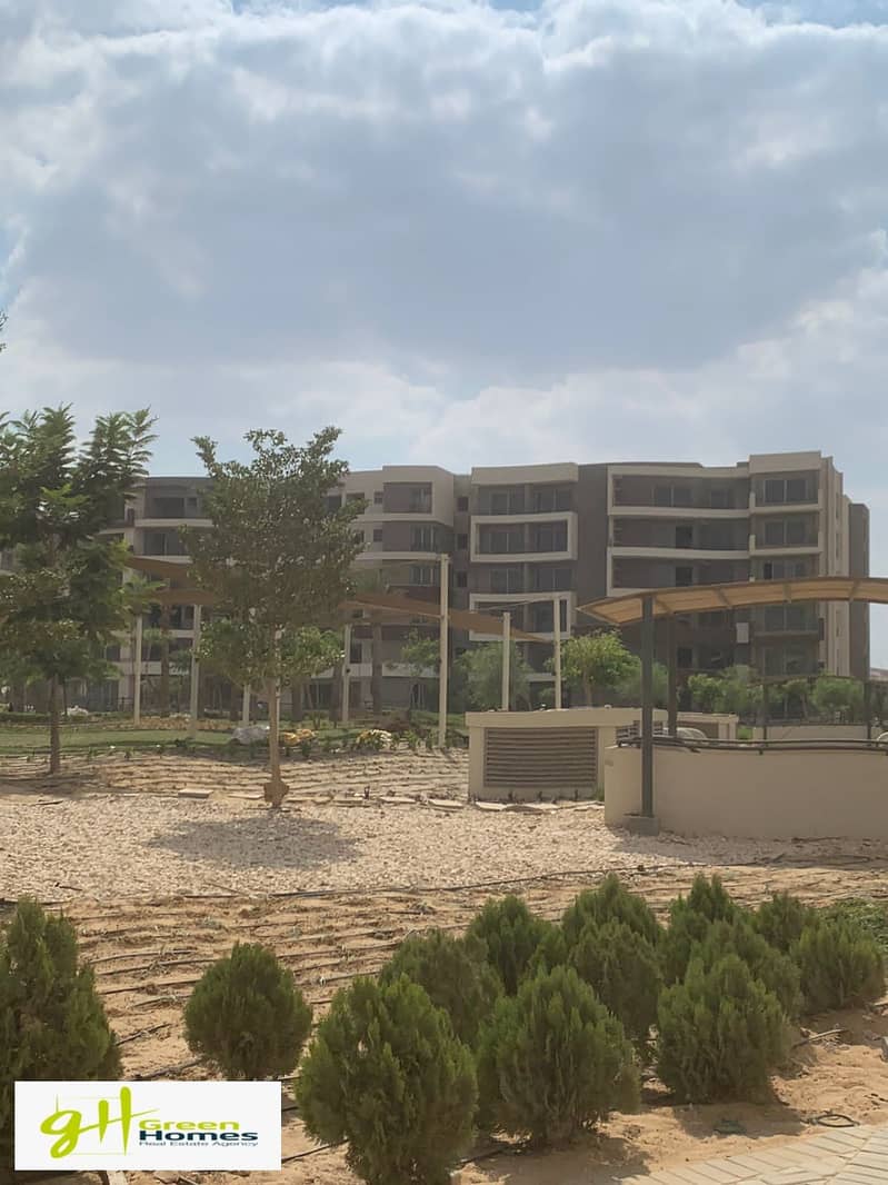 6 IMG-20250227-WA0013. jpg