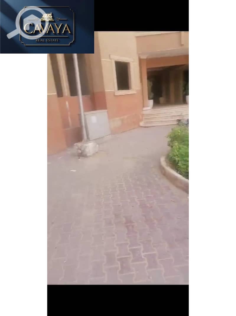 2 Untitled design (9). png