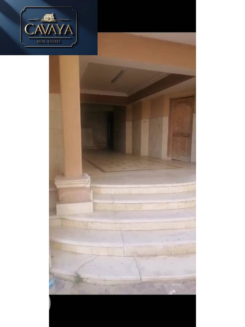 7 Untitled design (6). png