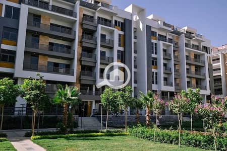 3 Bedroom Flat for Sale in New Cairo, Cairo - WhatsApp Image 2025-09-02 at 1.50. 20 PM (5). jpeg