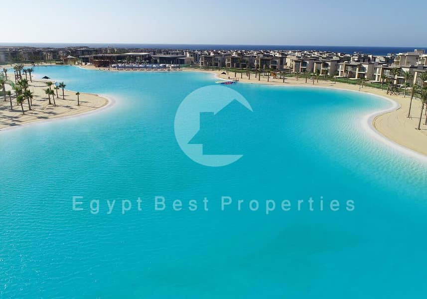 5 2598. jpg