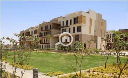 3 Bedroom Penthouse for Sale in New Cairo, Cairo - IMG-20250916-WA0040. jpg