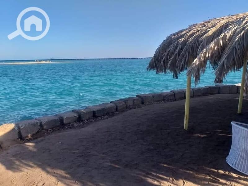 2 484459964_3530282123946547_610701636346081694_n. jpg