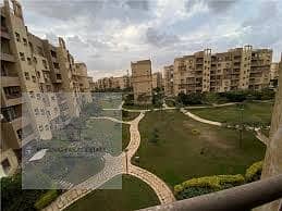 11 images (2). jpg