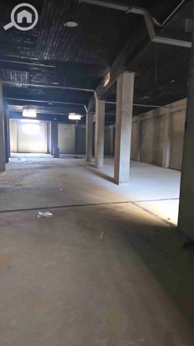Factory for Rent in New Cairo, Cairo - 1000377342. jpg