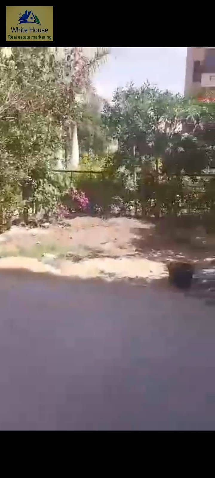 2 WhatsApp Image 2025-09-21 at 3.31. 44 PM (1). jpeg