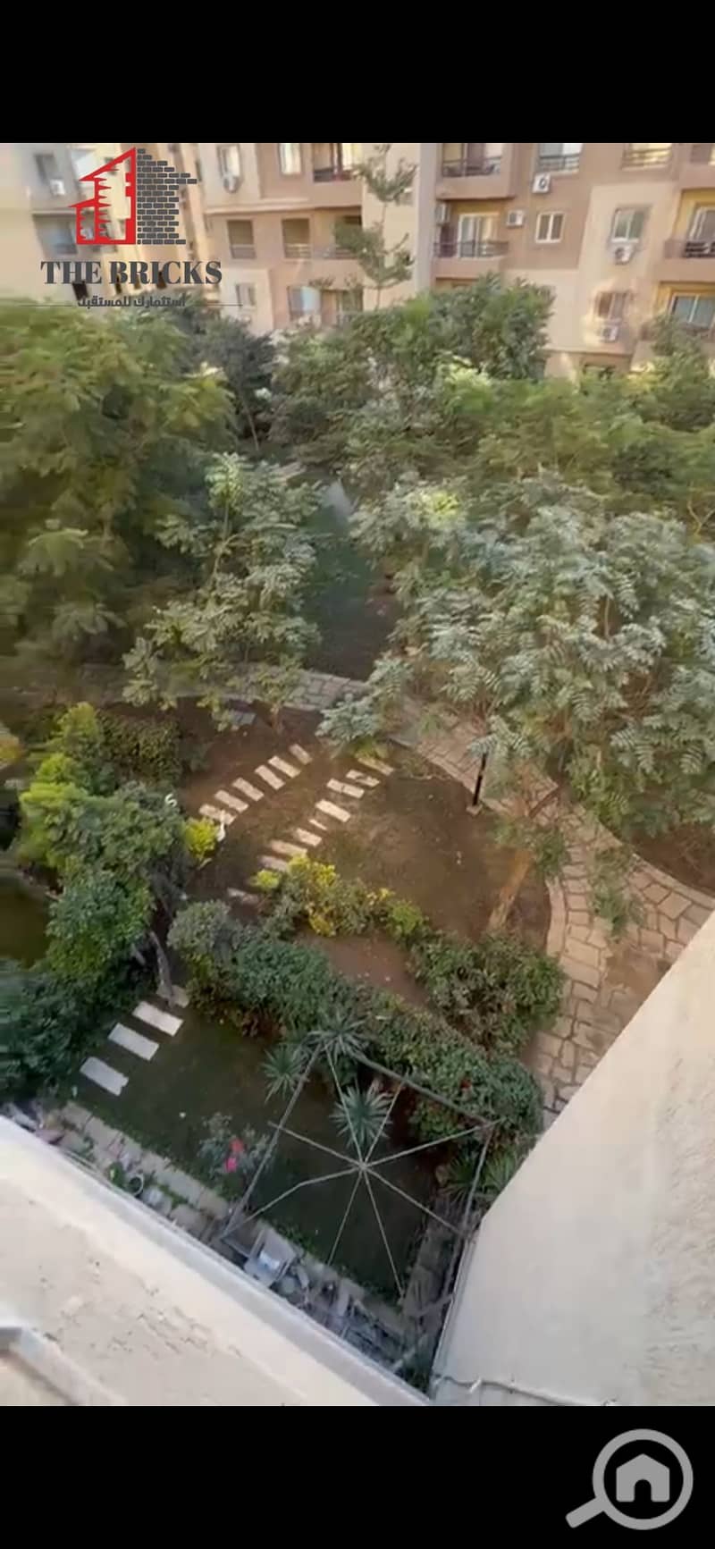6 1000256544. jpg