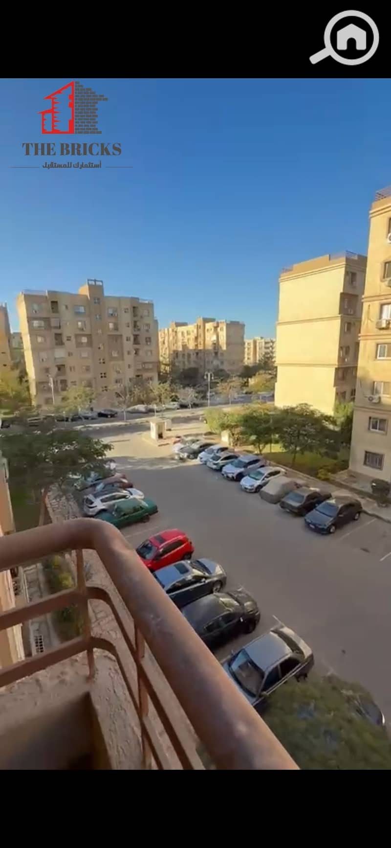13 1000256551. jpg