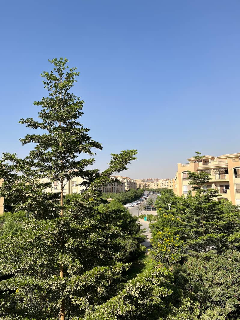 11 WhatsApp Image 2025-09-21 at 3.59. 34 PM (4). jpeg