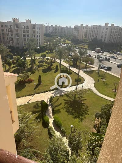 شقة 3 غرف نوم للايجار في القاهرة الجديدة، القاهرة - WhatsApp Image 2025-09-15 at 7.42. 53 PM. jpeg