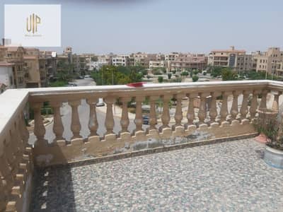 3 Bedroom Roof for Sale in New Cairo, Cairo - IMG-20250824-WA0421. jpg