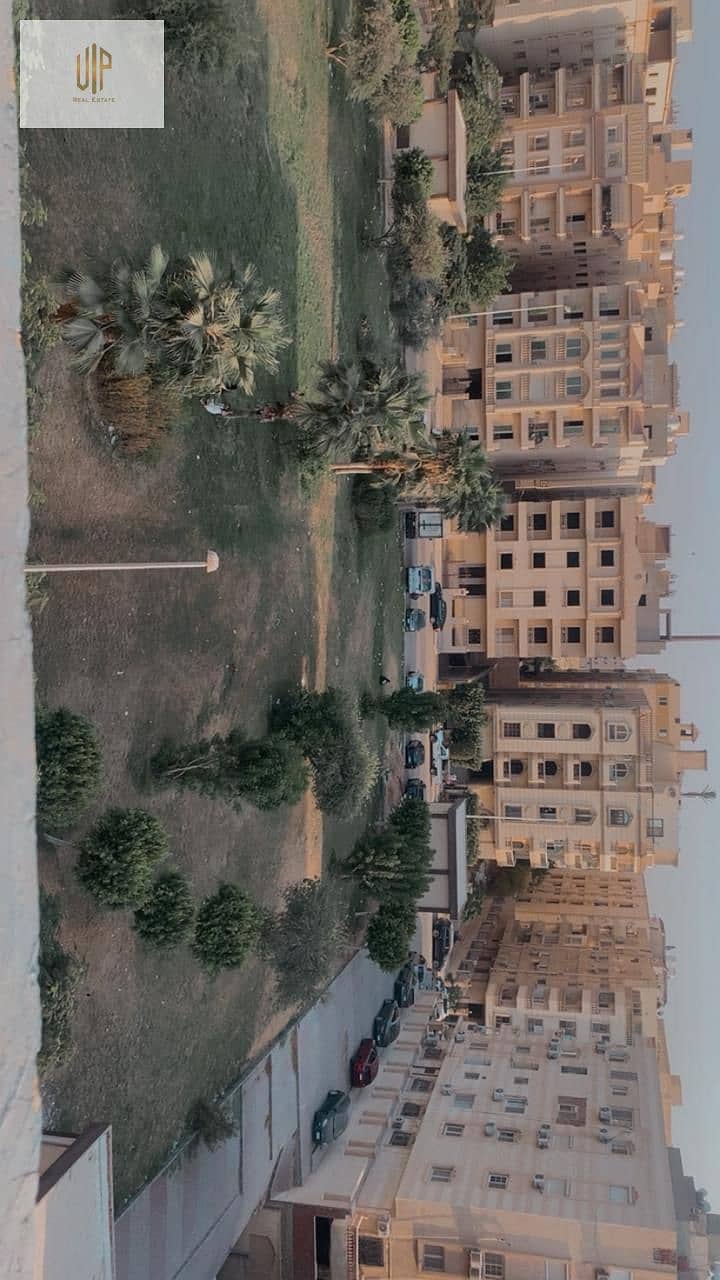 2 WhatsApp Image 2025-09-16 at 23.27. 50_9241d08b. jpg