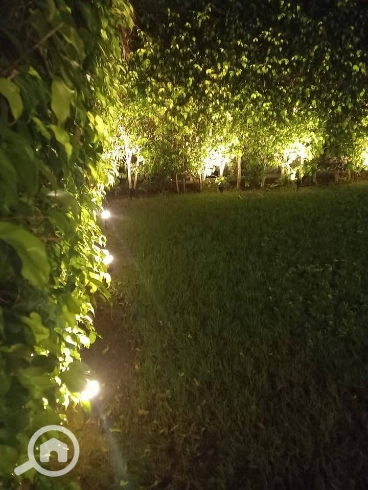 10 540710111_1203968965104859_6905332885545588137_n. jpg