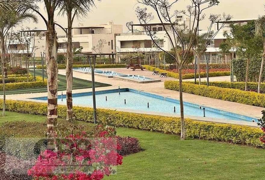 12 530229316_530909010085451_5631543376676400035_n. jpg