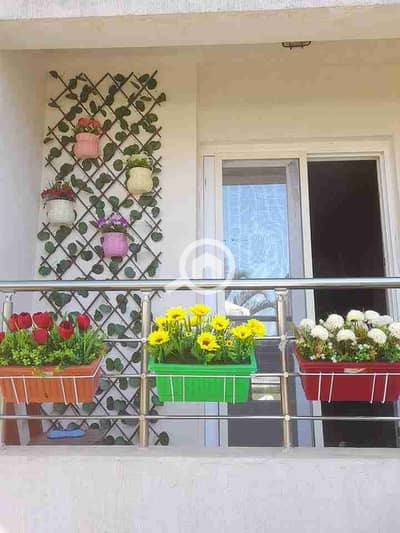 2 Bedroom Chalet for Sale in North Coast, Matruh - 1000651047. jpg